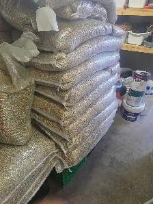 pigoen mix for sale - Photo 5