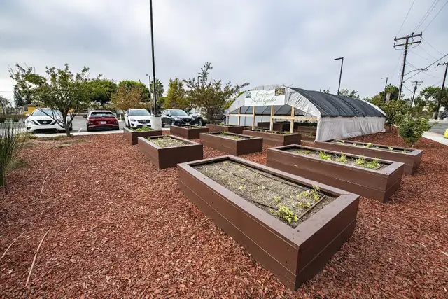 Red Bark Mulch for Raised Garden Beds - Bulk Delivery
