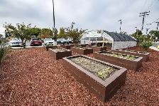 Red Bark Mulch for Raised Garden Beds - Bulk Delivery