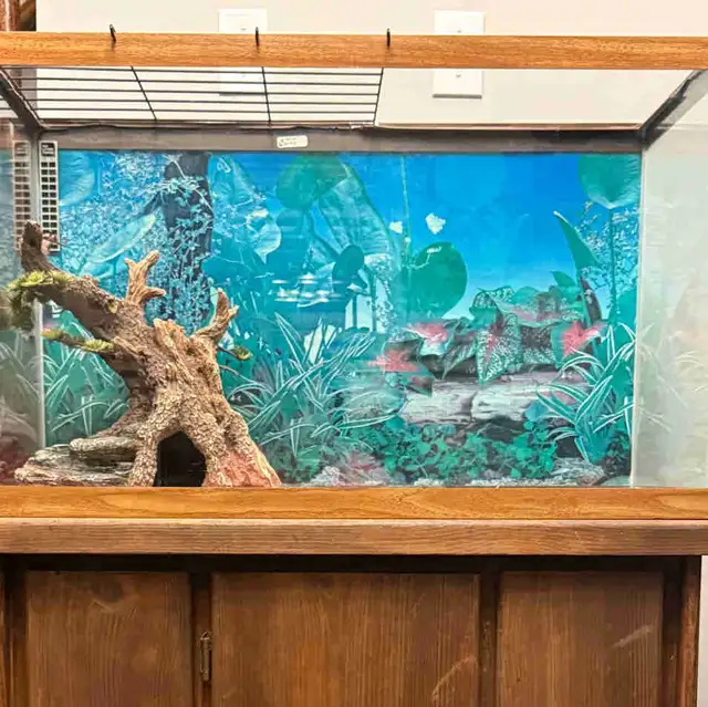 Reptile Tank with Solid Wooden Cabinet Stand