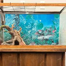 Reptile Tank with Solid Wooden Cabinet Stand