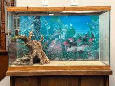 Reptile Tank with Solid Wooden Cabinet Stand - Photo 2