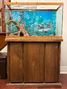 Reptile Tank with Solid Wooden Cabinet Stand - Photo 6