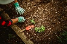 Dark Planting Soil Mix for Fall Veggie Beds & New Shrubs - Photo 2