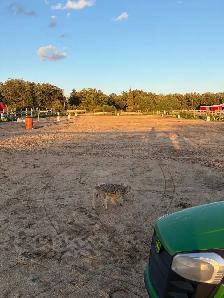 horse boarding - stony mountain area - Photo 6