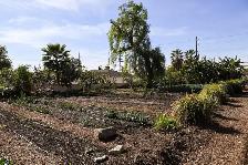Compost-Rich Garden Soil for Fall Planting & Lawn Patching