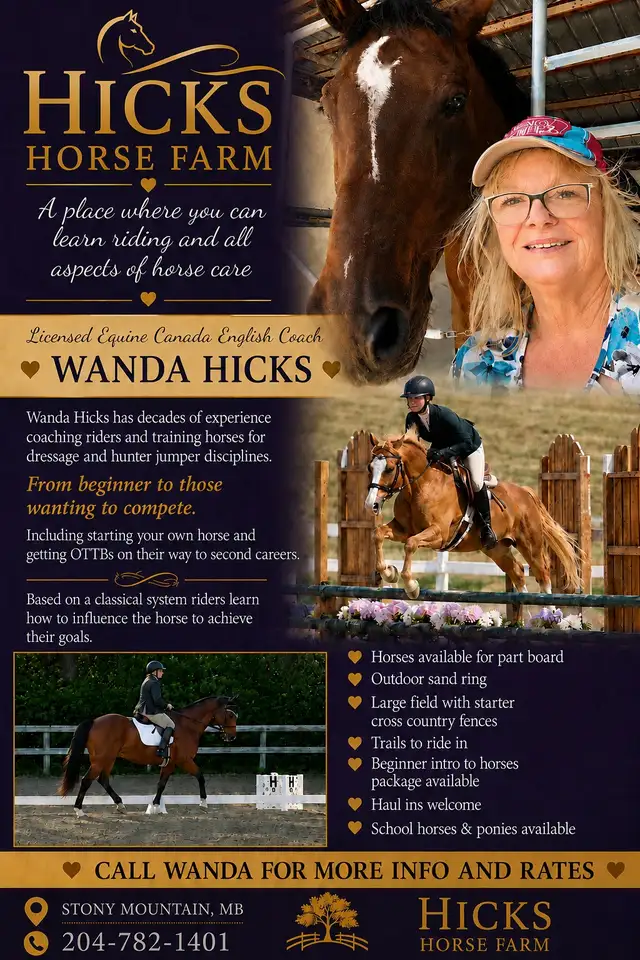 Horseback Riding Lessons
