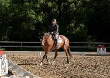Horseback Riding Lessons - Photo 3