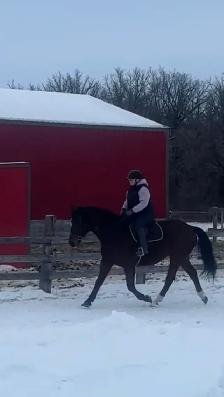 Horseback Riding Lessons - Photo 7