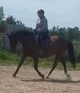Horseback Riding Lessons - Photo 8