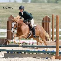 Horseback Riding Lessons - Photo 9