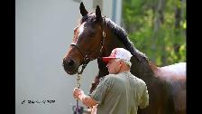 Horseback Riding Lessons - Photo 10