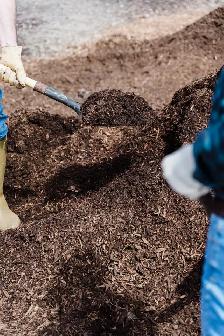 Dark Shredded Bark Mulch Shoveled to Order - Bulk Delivery