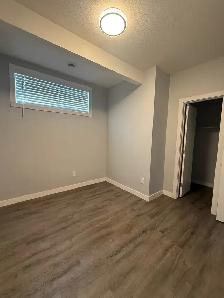 2 Bedroom basement suite - Photo 4