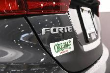 2023 Kia Forte EX CALL 902-453-2790 - Photo 26