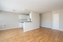 Newly renovated one bedroom in Casa Loma - ID 4773 - Photo 2