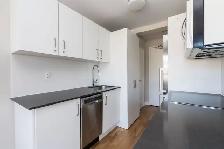 Newly renovated one bedroom in Casa Loma - ID 4773 - Photo 3