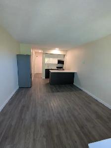 The Jamieson - 401-6306 Cork Street Apartment for Rent - Photo 3