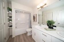 Harvest Gate - 3 Bed - Eve A - Oak Bluff - Photo 11