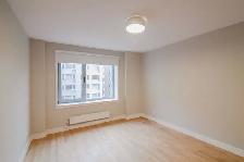 downtown renovated two bedroom apartment near McGill - ID 275