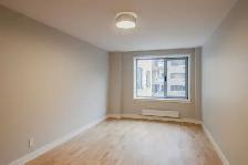 downtown renovated two bedroom apartment near McGill - ID 275 - Photo 13