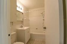 two bed two bath apartment downtown near McGill - ID 2389 - Photo 16