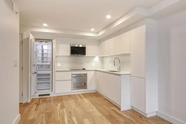 fully renovated one bedroom apartment near McGill - ID 3357