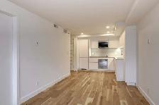 fully renovated one bedroom apartment near McGill - ID 3357 - Photo 2
