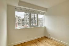 fully renovated one bedroom apartment near McGill - ID 3357 - Photo 5