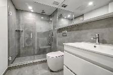 fully renovated one bedroom apartment near McGill - ID 3357 - Photo 9