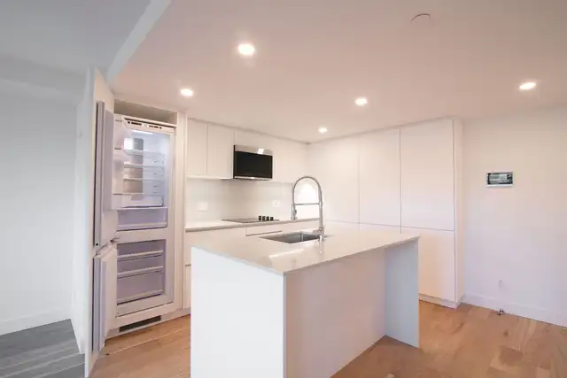 fully renovated 1-bed unit for rent, Downtown, McGill - ID 3023