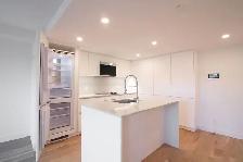 fully renovated 1-bed unit for rent, Downtown, McGill - ID 3023