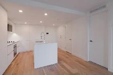 fully renovated 1-bed unit for rent, Downtown, McGill - ID 3023 - Photo 2