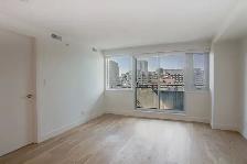 fully renovated 1-bed unit for rent, Downtown, McGill - ID 3023 - Photo 3