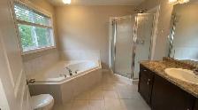 Luxury 4-Bedroom Home with Finished Basement & Garage - Photo 25