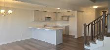 3 Bedroom Townhouse For Rent In Paris Ontario. Brand New House. - Photo 4