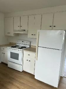 house for rent - Photo 4