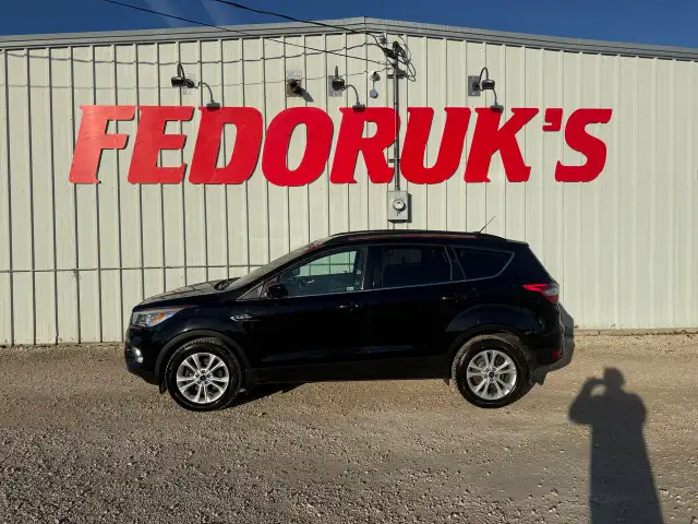 2017 Ford Escape SE 4WD