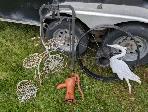 LIVE COLLECTABLES AUCTION SALE-OCT.26 - Photo 6