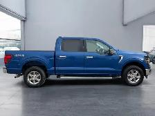 2025 Ford F-150 XLT - Photo 6
