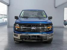 2025 Ford F-150 XLT - Photo 8
