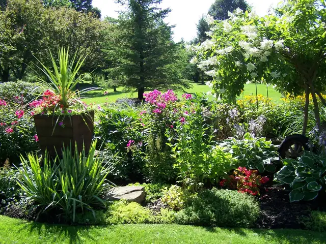 Lawn Maintenance/Landscaper