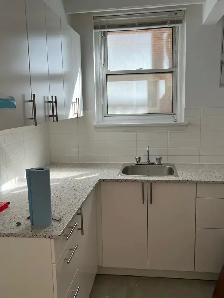 3.5/4.5 (1 bdrm or 2 bdrm) renovated-Penthouse or 2nd floor - Photo 10