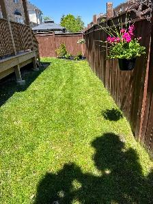 cleanup yards and grass cutting 289–772-7822 - Photo 2