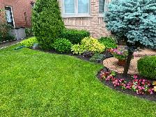 cleanup yards and grass cutting 289–772-7822 - Photo 3