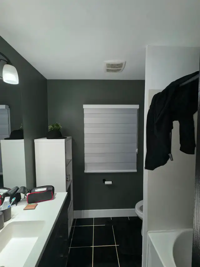 Sunscreen Roller Blinds – Glare Reduction