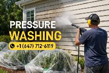 Pressure Washing, Windows & Gutter Cleaning - Photo 4