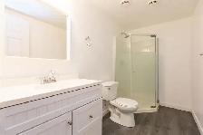 2BHK Basement for Rent - Photo 5