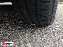 2020 Toyota Prius Prime Upgrade 1 OWNER, NO ACCIDENTS - Photo 9