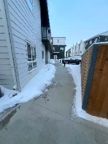 Snow Removal in Saskatoon - Photo 2